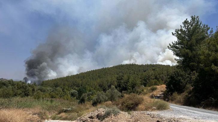 Muğla'daki yangınlar kontrol altında