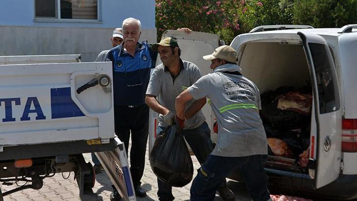 Aracında 1,5 ton tek tırnaklı hayvan eti çıktı; ‘akrabalarıma dağıtacaktım’ dedi