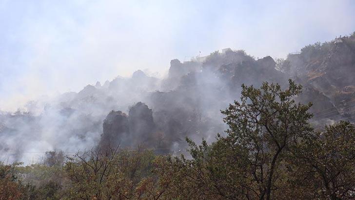 Kayseri'de ot yangını 1 saatte söndürüldü
