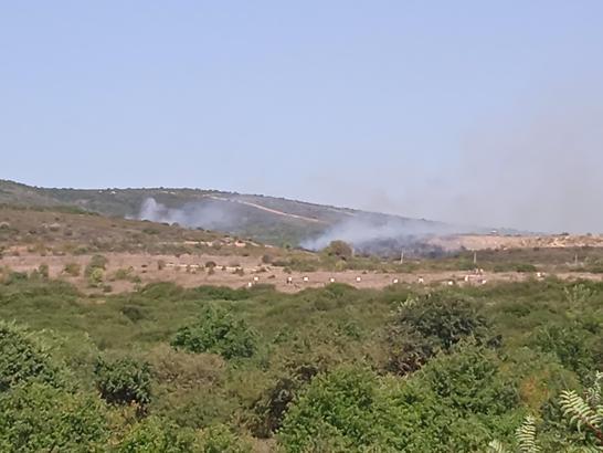 İstanbul - Tuzla Piyade Okulu'nda çalılık alanda çıkan yangın söndürüldü