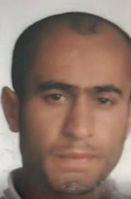 İstanbul-Fatih'te sokak köpeklerinin saldırısına uğrayan bir kişi hayatını kaybetti