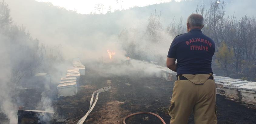 Balıkesir'de yangını müdahale eden ekipler, arılar nedeniyle zor anlar yaşadı