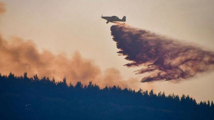 Kazdağları'na giriş yasaklandı