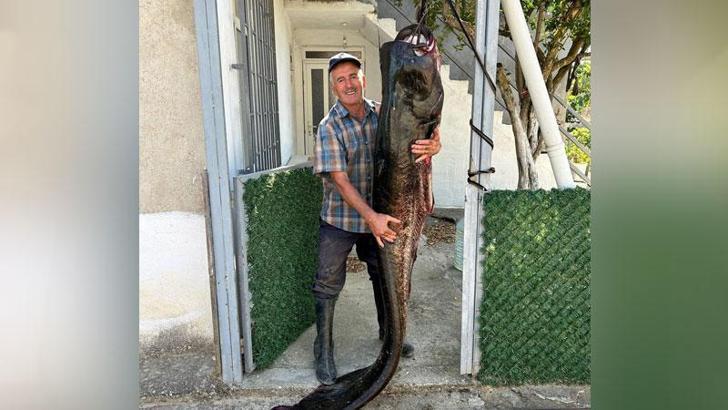Meriç Nehri’nde 2 metrelik yayın balığı yakaladı
