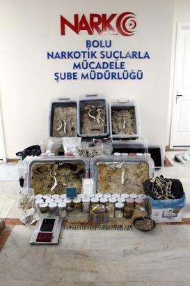Bolu'da uyuşturucu etkili mantar ile el yapımı patlayıcı ele geçirildi