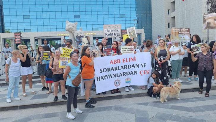 Hayvanseverlerden ABB'ye 'sokak hayvanları' tepkisi