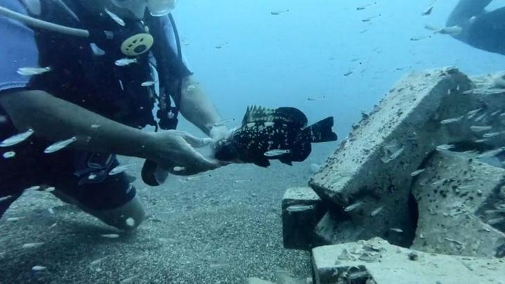 Plastik şişeye sıkışan nesli tehlike altındaki balığı kurtardı