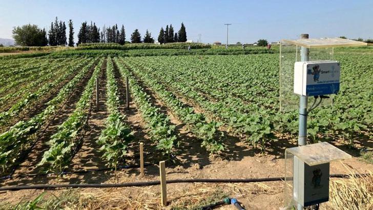'Tarımsal sulamada yapay zeka yüzde 80 tasarruf sağlıyor'