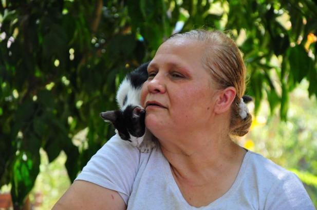 'Kedilerin annesi' Alev Öğretmen, 2 arkadaşıyla 80'den fazla kediye bakıyor