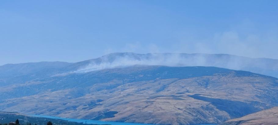 Malatya'da orman yangını