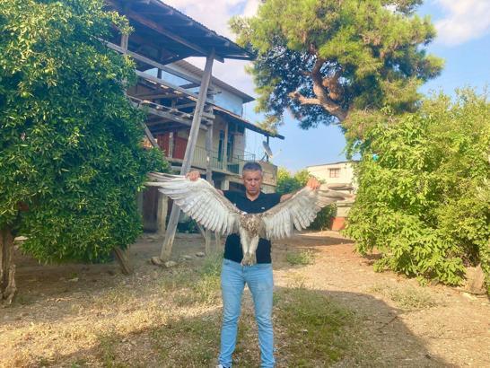 Yaralı kartal tedaviye alındı