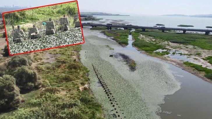 Büyükçekmece Baraj Gölü'nde su seviyesi düştü; tarihi Çakmak Hattı ortaya çıktı