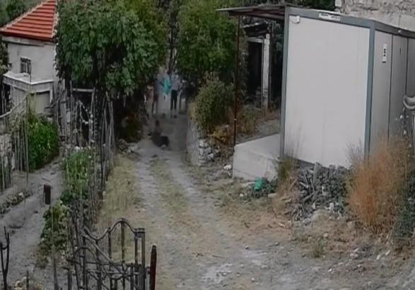 Bahçesine giren sürünün çobanını öldürdü (2)