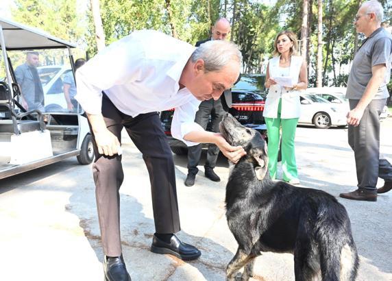 Başkan Kocagöz: 'Köpek yakıldı' iddiaları asılsız