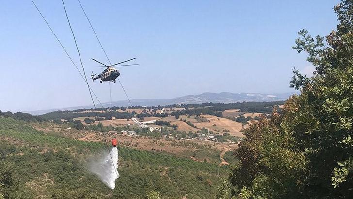 Bursa'da yeni orman yangını