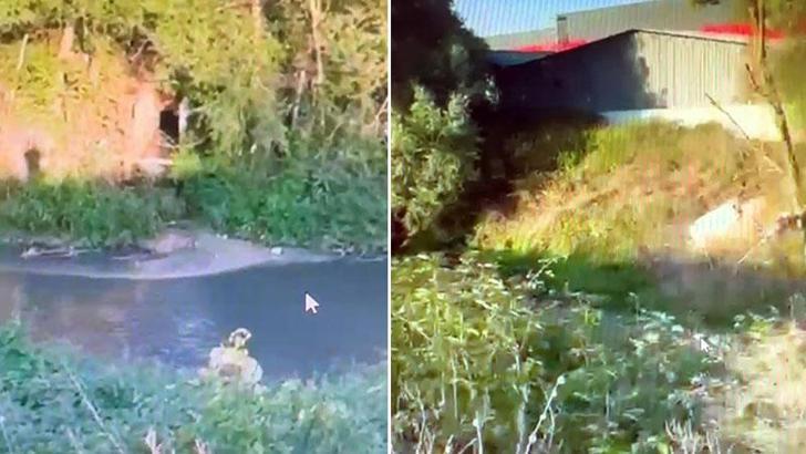 Doğayı kirletmeye devam eden beyaz et firmasına 3’üncü kez para cezası