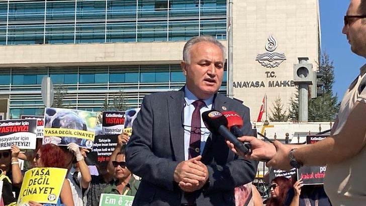 AYM, sahipsiz hayvanlarla ilgili düzenlemeyi esastan görüşecek