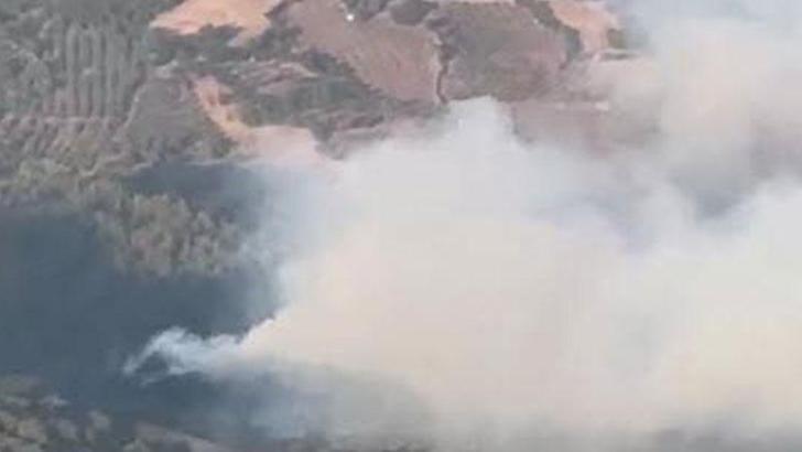 İzmir'de orman yangını kontrol altında