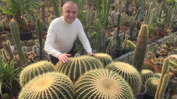 Farklı ülkelerden 600 kaktüsle çatıda bahçe kurdu