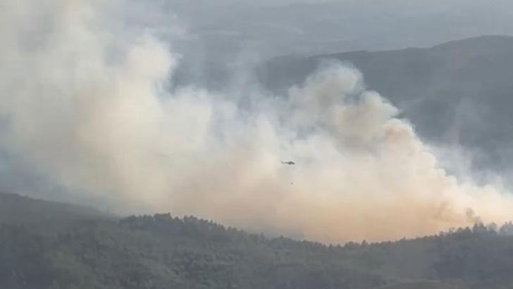 Kütahya’da orman yangını kontrol altında