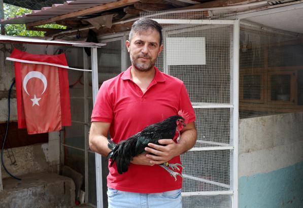Almanya'dan yumurtasını getirttiği süs tavuğuyla Türkiye'de şampiyon oldu