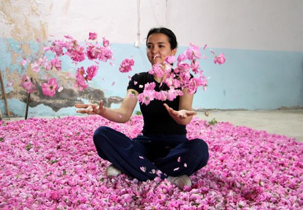 Gül çiçeğinin kilosu 90 lira