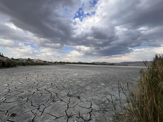 Elmabaş patka ördeklerin mekanı kuruyor; acil su takviyesi gerekiyor