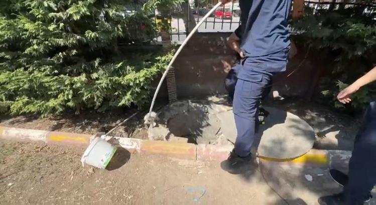 İstanbul- Avcılar'da mahsur kalan kedileri itfaiye kurtardı