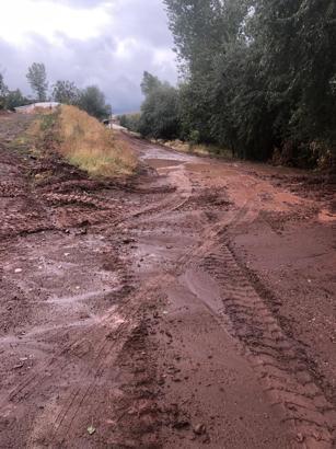 Ahlat'ta sağanak sele neden oldu
