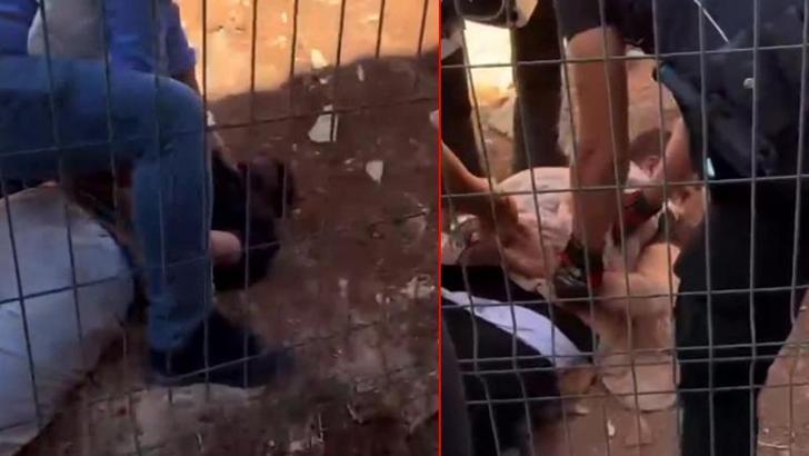 Bakan Yerlikaya: Gaziantep'te uzun namlulu silahlarla poz verenler yakalandı