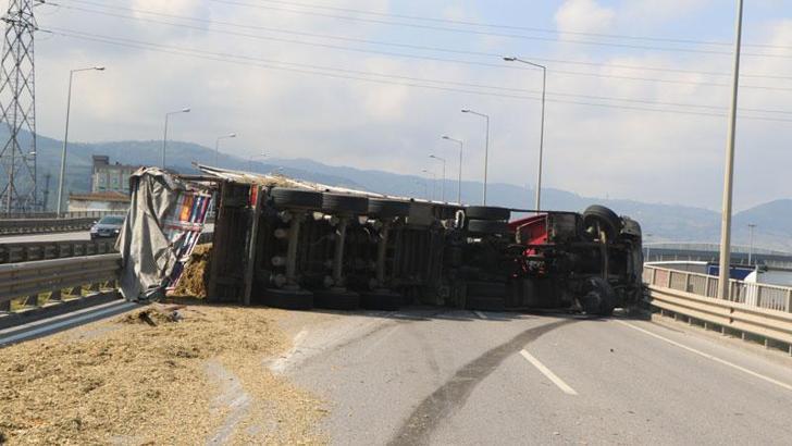 Sürücüsünü arı sokan TIR, devrildi