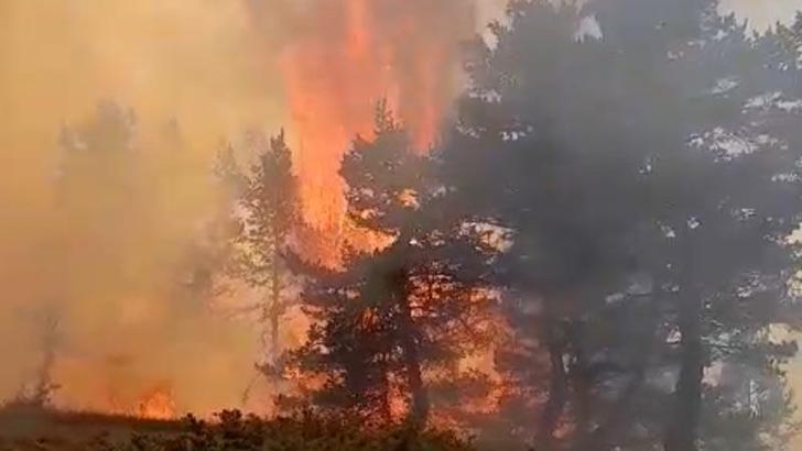 Sivas'taki orman yangını kontrol altında