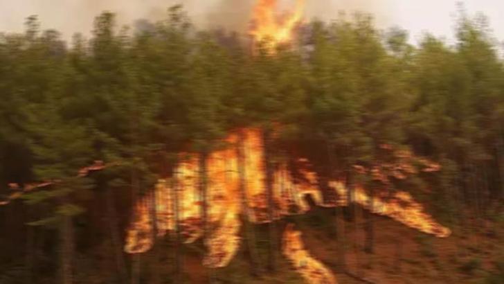 Ormanda örtü yangınına neden olan çiftçiye 2,5 yıl hapis