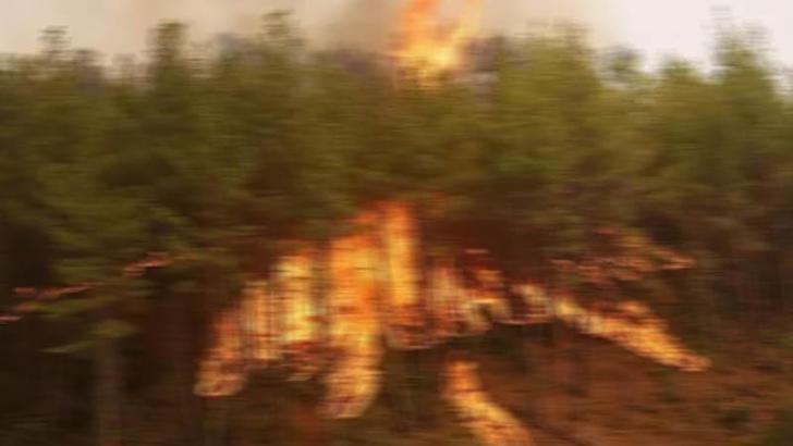 Antalya'da çalılıkta çıkan yangın, ormanı ve işçilerin konteynerlerini yaktı