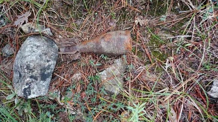 Mantar toplamaya gittikleri ormanda havan topu mermisi buldular