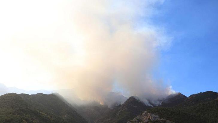 Denizli'de orman yangını 3'üncü gününde