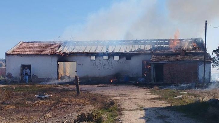 Anız yangını depoya sıçradı, 15 ton buğday ve 500 saman balyası kül oldu