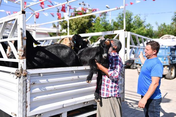 Üreticilere küçükbaş hayvanlarla yeni üretim kapısı açıldı