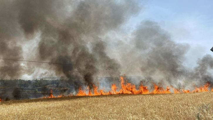 'Anız yakımı, hem orman yangına hem erozyona yol açıyor'