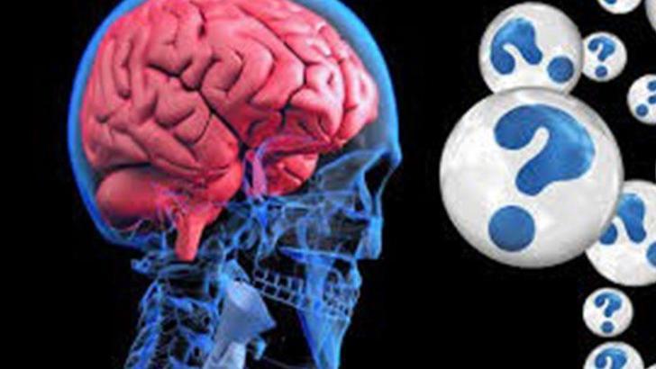 Araştırma: Anılar sadece beyinde saklanmıyor