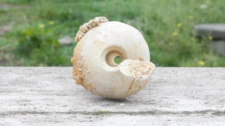 Bağcılar'da 10 milyon yıllık deniz minaresi fosili bulundu; ‘Depreme karşı en zayıf bölgeyi gösteriyor’