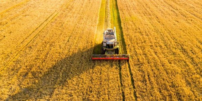 Tarım ve Orman Bakanlığı'ndan 'planlı üretim' rehberi