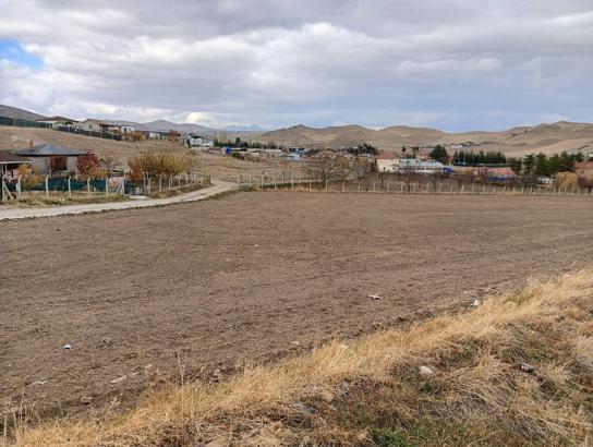 13 yaşındaki Alperen, sokak köpeklerinin saldırısında yaralandı