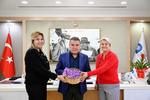 Safran soğanının ilk hasadı Başkan Böcek'e