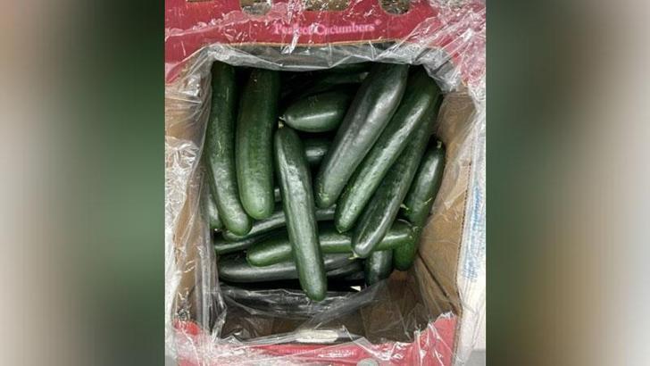 ABD’nin 26 eyaletinde satılan salatalıklar salmonella riski nedeniyle incelemeye alındı