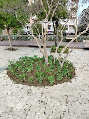 Manisa'da yeşil alanlara peyzaj düzenlemesi