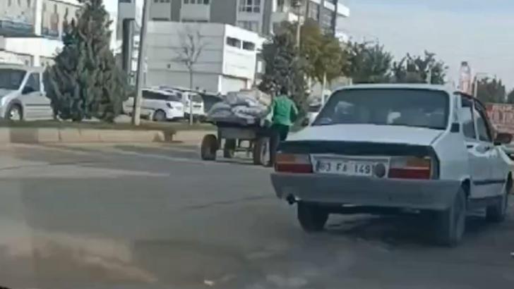 Şanlıurfa’da ata eziyet kamerada