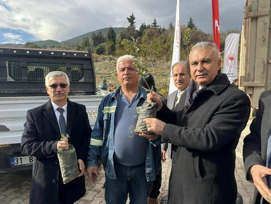 Hatay’da çiftçilere 4 bin adet alıç fidanı dağıtıldı