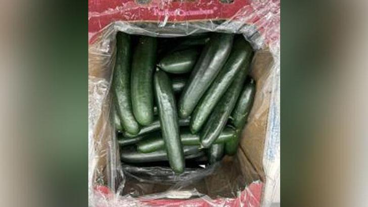 ABD’de salmonella salgını: 68 kişi hastalandı