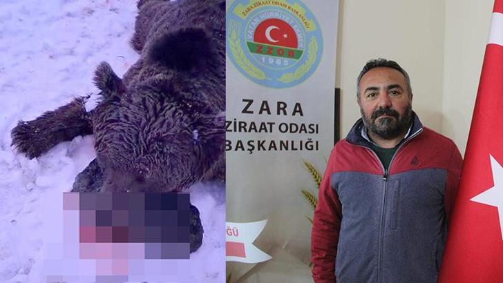 Gezintiye çıkan kişiye saldırıp öldüren ayı, vuruldu